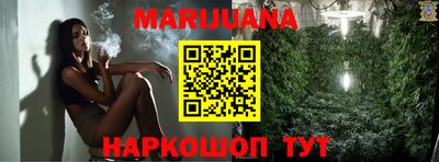 МДПВ Можга