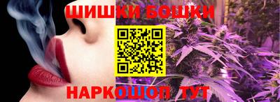 МДПВ Можга