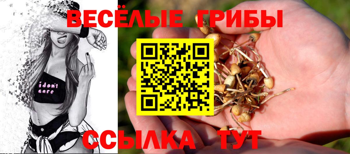 Галлюциногенные грибы Psilocybe Сочи